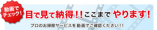 プロの掃除