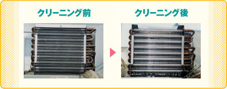 冷蔵庫クリーニングの前後