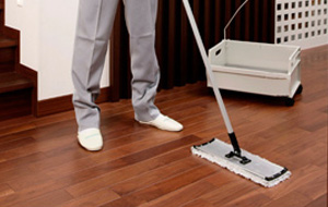 フロアクリーニング ダスキンリズム